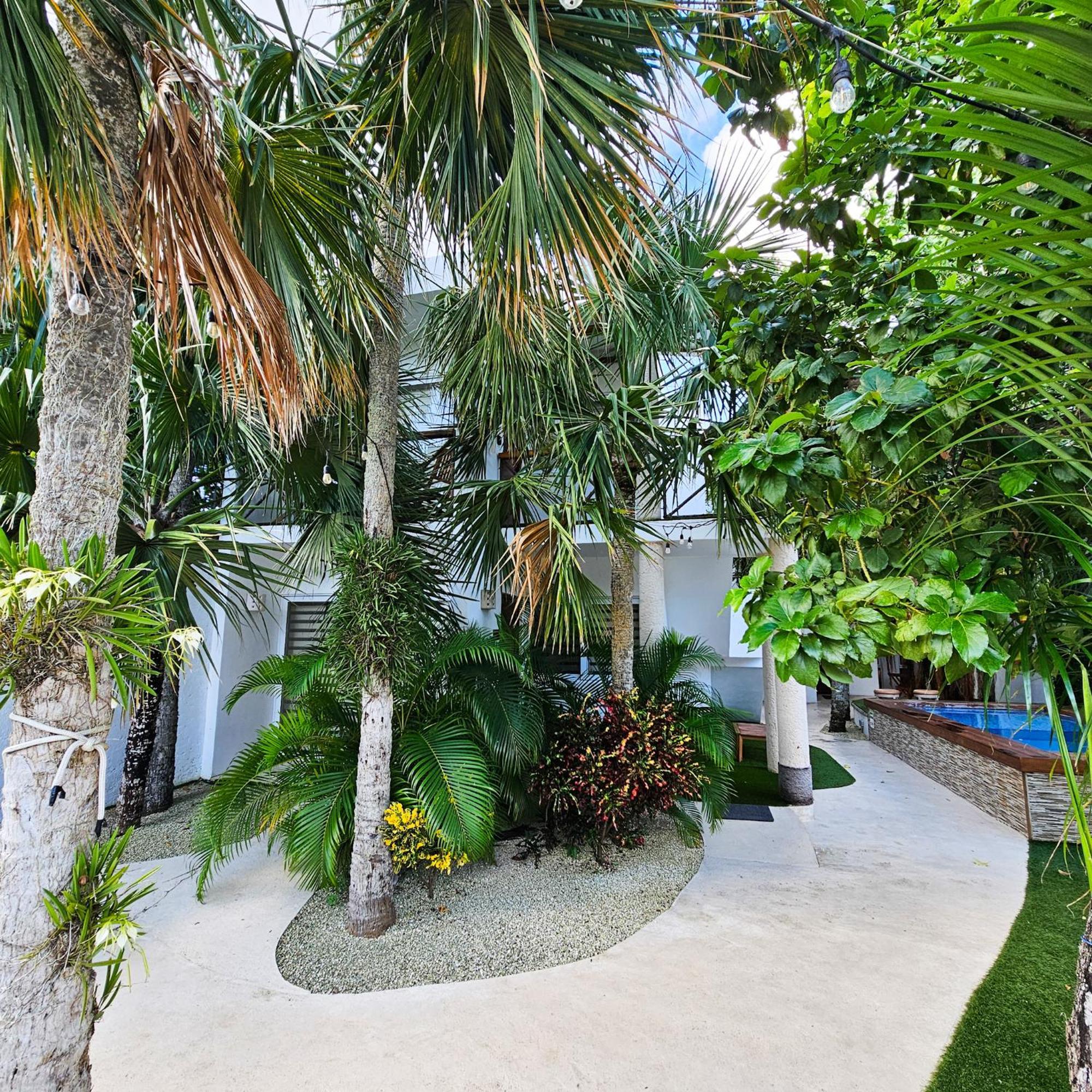 Sayu - Suites Cozumel Eksteriør bilde